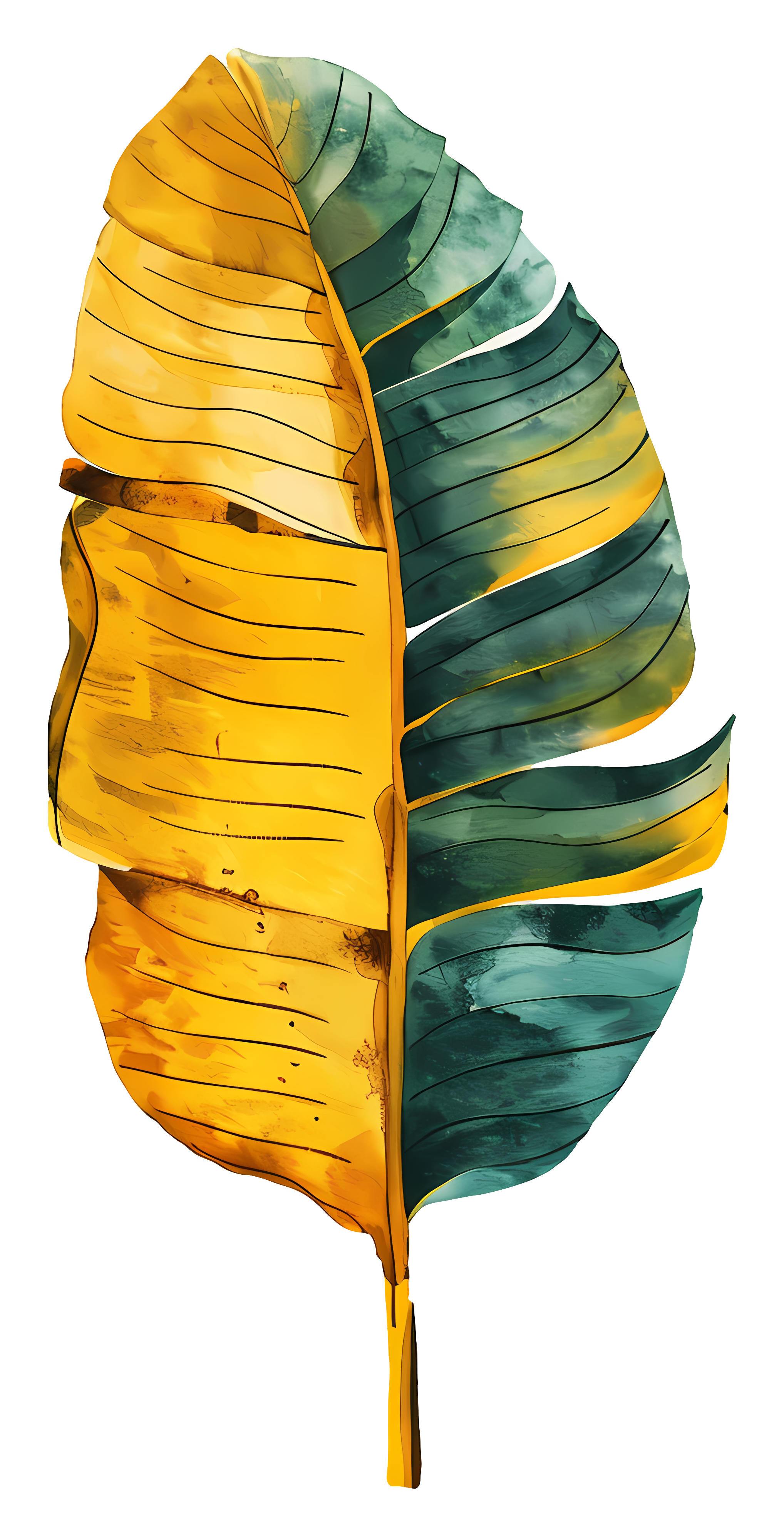 Its a beautiful leaf